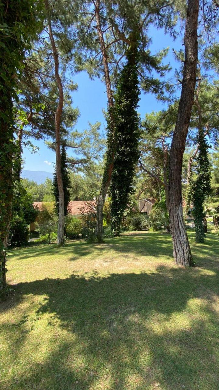Pine Club Apart Hotel Kuşadası Buitenkant foto