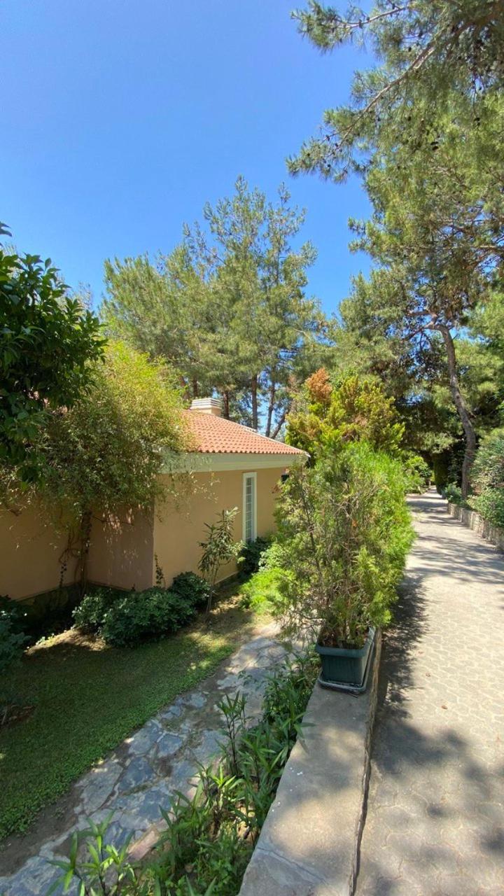 Pine Club Apart Hotel Kuşadası Buitenkant foto